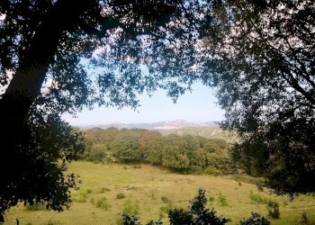 Foto 17 - Rustico strada statale
 
snc, Sant'Antonio di Gallura - foto 17