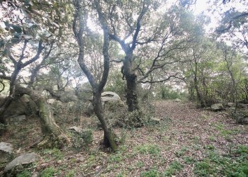 Foto 20 - Rustico strada statale
 
snc, Sant'Antonio di Gallura - foto 20