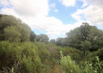 Foto 21 - Rustico strada statale
 
snc, Sant'Antonio di Gallura - foto 21