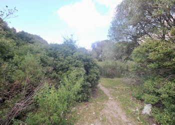 Foto 24 - Rustico strada statale
 
snc, Sant'Antonio di Gallura - foto 24