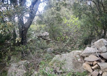 Foto 27 - Rustico strada statale
 
snc, Sant'Antonio di Gallura - foto 27