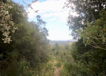 Foto 29 - Rustico strada statale
 
snc, Sant'Antonio di Gallura - foto 29