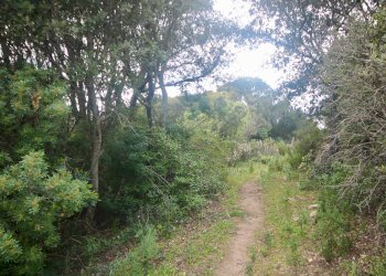 Foto 32 - Rustico strada statale
 
snc, Sant'Antonio di Gallura - foto 32