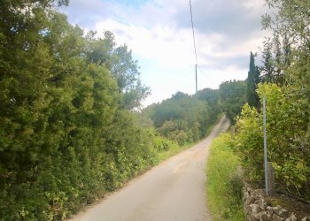 Foto 42 - Rustico strada statale
 
snc, Sant'Antonio di Gallura - foto 42