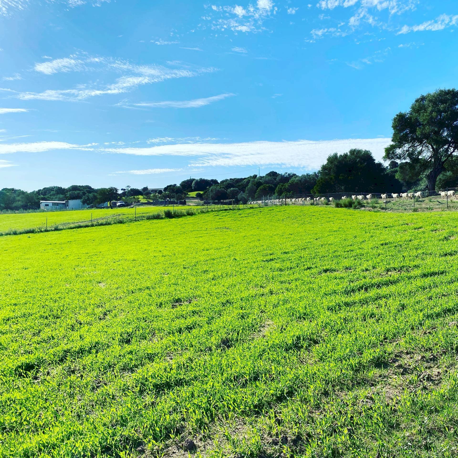 Foto 2 - Attività Commerciale Località Nicola Calta
 
snc, Arzachena - foto 2