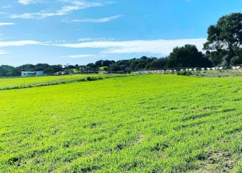 Foto 2 - Attività Commerciale Località Nicola Calta
 
snc, Arzachena - foto 2