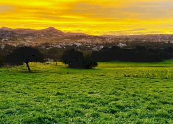 Foto 4 - Attività Commerciale Località Nicola Calta
 
snc, Arzachena - foto 4