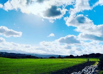 Foto 6 - Attività Commerciale Località Nicola Calta
 
snc, Arzachena - foto 6