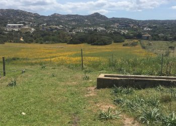 Foto 8 - Attività Commerciale Località Nicola Calta
 
snc, Arzachena - foto 8