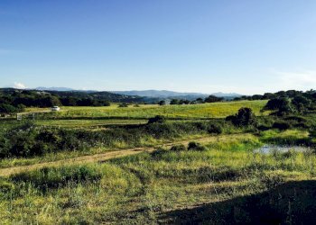 Foto 10 - Attività Commerciale Località Nicola Calta
 
snc, Arzachena - foto 10