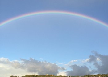 Foto 13 - Attività Commerciale Località Nicola Calta
 
snc, Arzachena - foto 13