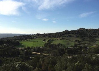 Foto 15 - Attività Commerciale Località Nicola Calta
 
snc, Arzachena - foto 15