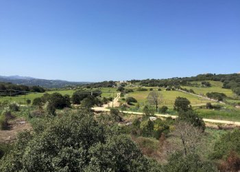 Foto 17 - Attività Commerciale Località Nicola Calta
 
snc, Arzachena - foto 17