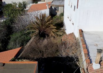 Foto 43 - Rustico VIA Sant'Antonio
 
126, Siniscola - foto 43