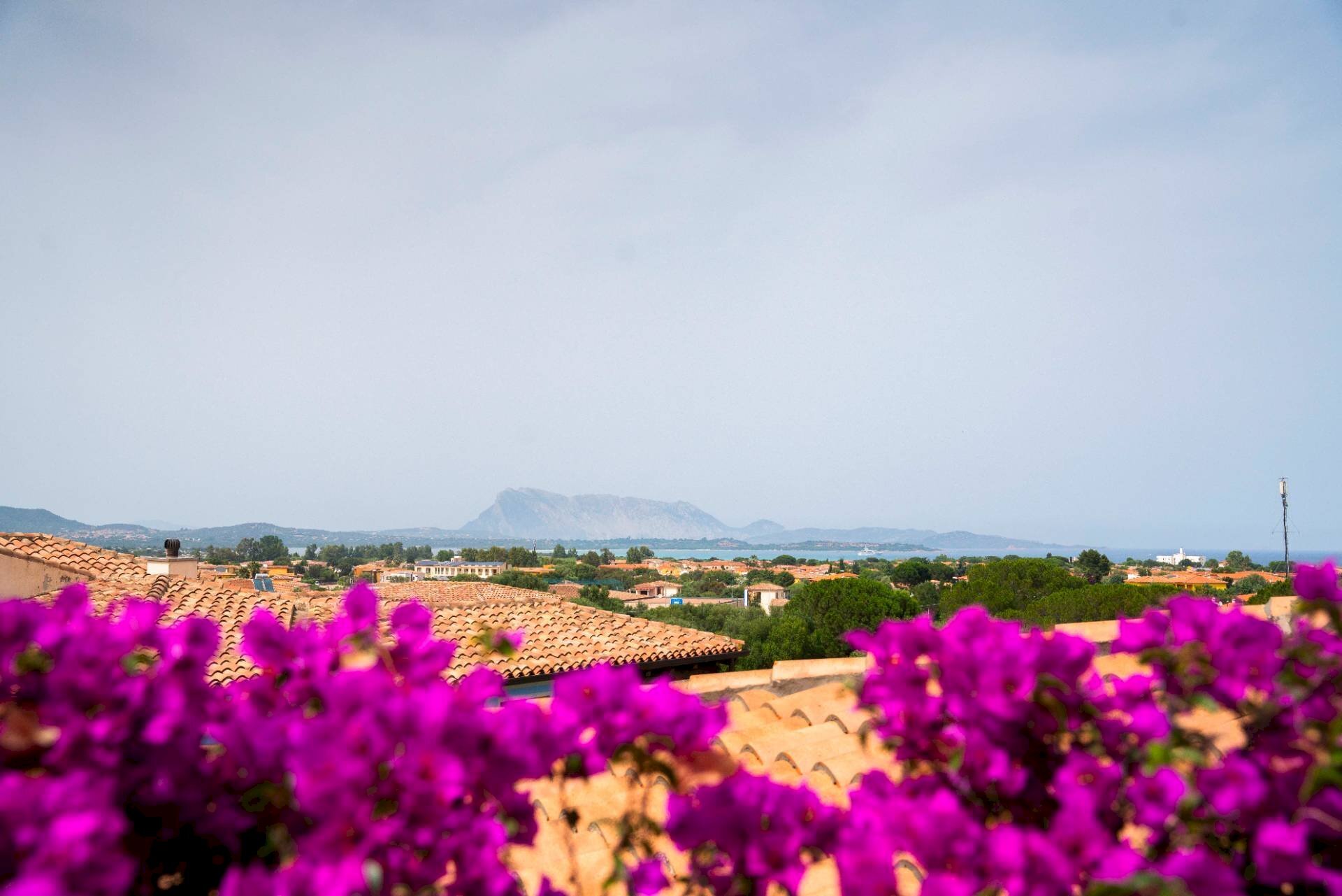 Foto 3 - Terraced Villa Via Omodeo, San Teodoro - photo 3