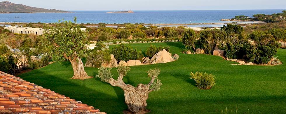 Foto 2 - Terreno agricolo Via Nazionale
 
s.n.c., San Teodoro - foto 2