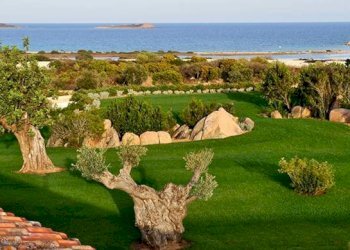 Foto 2 - Terreno agricolo Via Nazionale
 
s.n.c., San Teodoro - foto 2