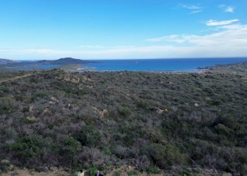Foto 3 - Terreno agricolo Via Nazionale
 
s.n.c., San Teodoro - foto 3