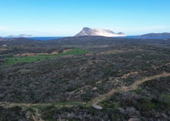 Foto 4 - Terreno agricolo Via Nazionale
 
s.n.c., San Teodoro - foto 4