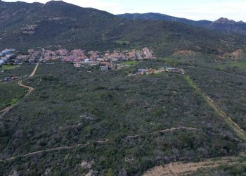 Foto 5 - Terreno agricolo Via Nazionale
 
s.n.c., San Teodoro - foto 5