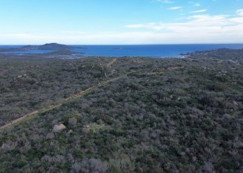 Foto 6 - Terreno agricolo Via Nazionale
 
s.n.c., San Teodoro - foto 6