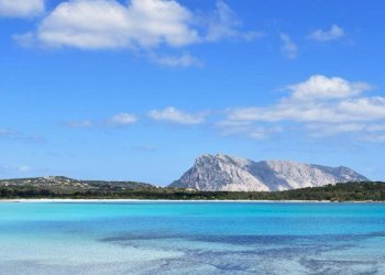 Foto 7 - Terreno agricolo Via Nazionale
 
s.n.c., San Teodoro - foto 7