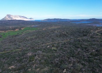 Foto 8 - Terreno agricolo Via Nazionale
 
s.n.c., San Teodoro - foto 8