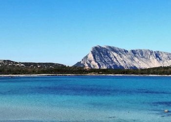 Foto 9 - Terreno agricolo Via Nazionale
 
s.n.c., San Teodoro - foto 9