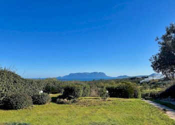 Foto 2 - Villa Ville del Golfo Aranci Sos Aranzos, Golfo Aranci - photo 2