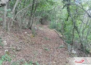 Foto 2 - Terreno agricolo Via Volte Maso, Verona - foto 2