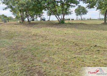 Foto 6 - Terreno agricolo Via Volte Maso, Verona - foto 6