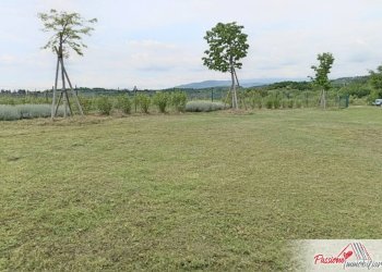 Foto 8 - Terreno agricolo Via Volte Maso, Verona - foto 8