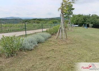 Foto 11 - Terreno agricolo Via Volte Maso, Verona - foto 11