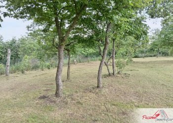 Foto 12 - Terreno agricolo Via Volte Maso, Verona - foto 12