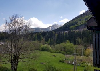 Foto 11 - Monolocale Tarvisio - foto 11