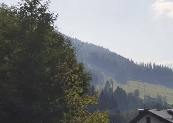 Foto 17 - Trilocale Tarvisio - foto 17