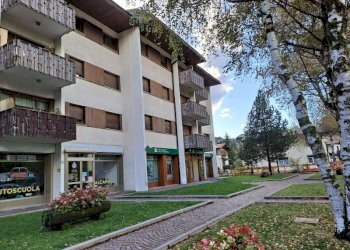 Foto 18 - Bilocale Tarvisio - foto 18