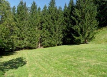 Foto 4 - Rustico Tarvisio - foto 4