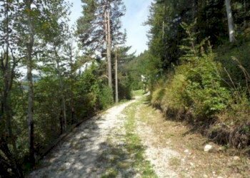 Foto 12 - Rustico Tarvisio - foto 12