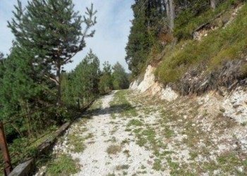 Foto 13 - Rustico Tarvisio - foto 13