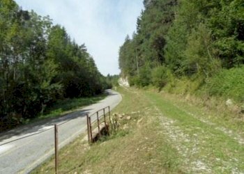 Foto 15 - Rustico Tarvisio - foto 15