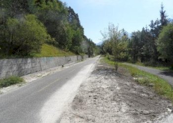 Foto 17 - Rustico Tarvisio - foto 17