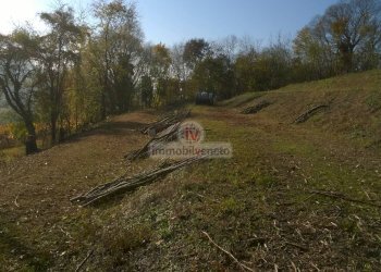 Foto 2 - Terreno edificabile VIA ROMA
 
52, Brendola - foto 2