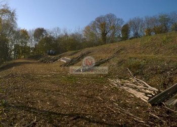 Foto 3 - Terreno edificabile VIA ROMA
 
52, Brendola - foto 3