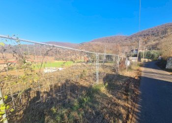 Foto 1 - Terreno edificabile VIA ROMA
 
52, Val Liona - foto 1