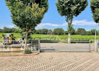 Foto 5 - Capannone VIA ROMA
52, Alonte - foto 5