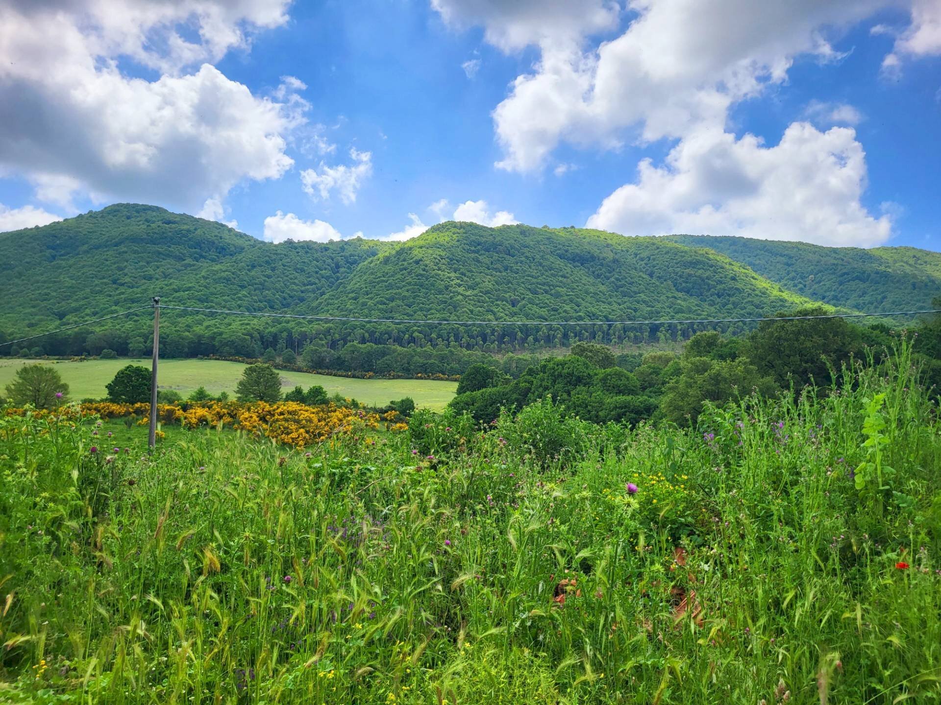 Foto 2 - Agricultural land Via del Vivaro, Rocca di Papa - photo 2