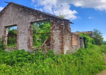 Foto 5 - Agricultural land Via del Vivaro, Rocca di Papa - photo 5