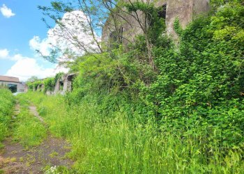 Foto 7 - Agricultural land Via del Vivaro, Rocca di Papa - photo 7