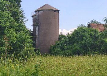 Foto 9 - Agricultural land Via del Vivaro, Rocca di Papa - photo 9